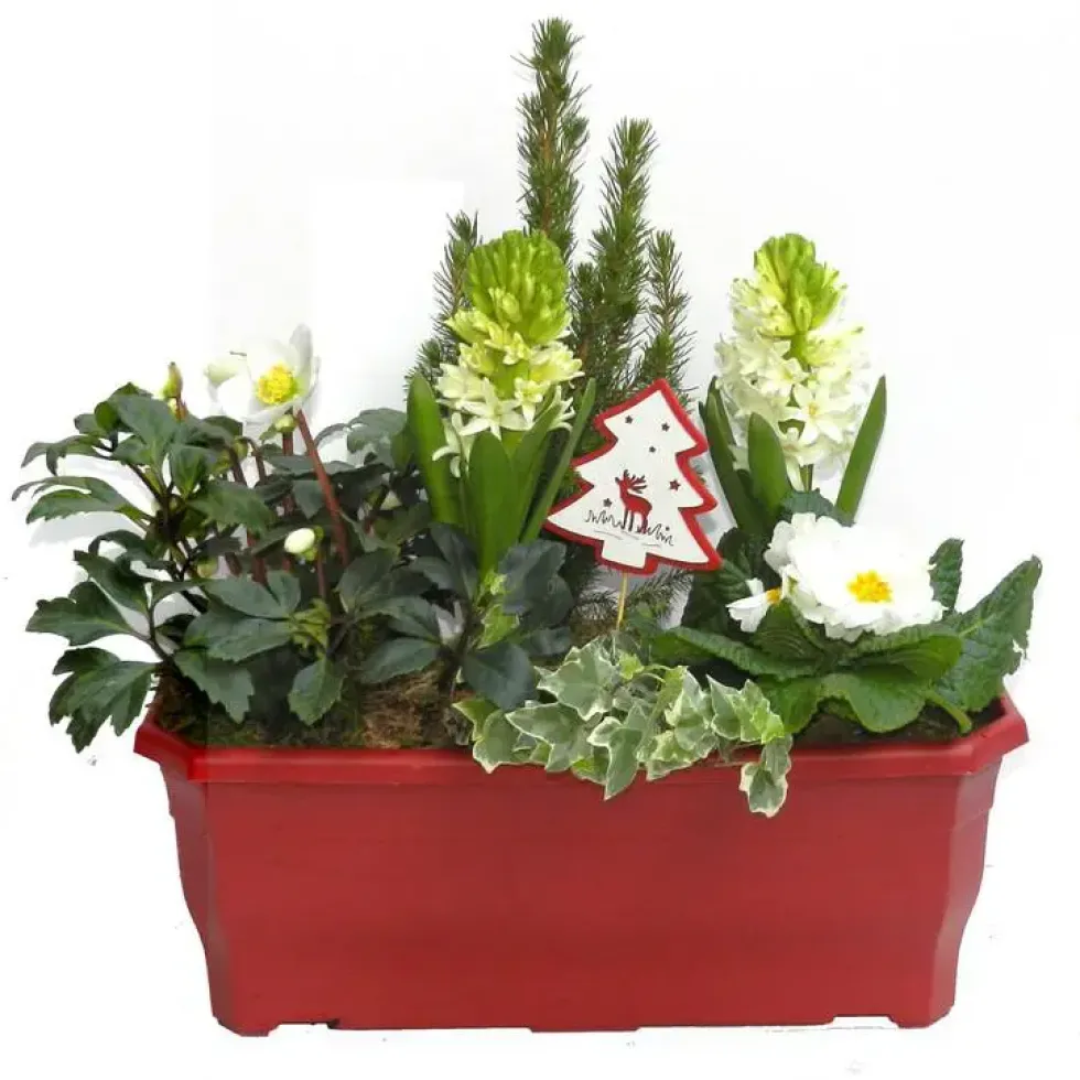 Jardinière de Noël 40 cm - La jardinière de 40 cm