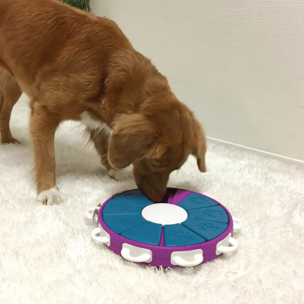 Jeu d'intelligence pour chien coloris multicolore Nina Ottosson Twister niveau 3 - Ø 30,5 cm
