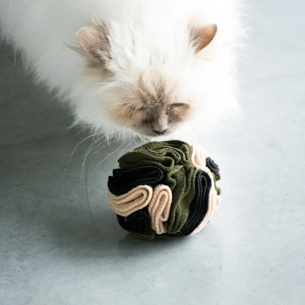 Jouet pour chat coloris multicolore Balle à friandises D&D Home Simon