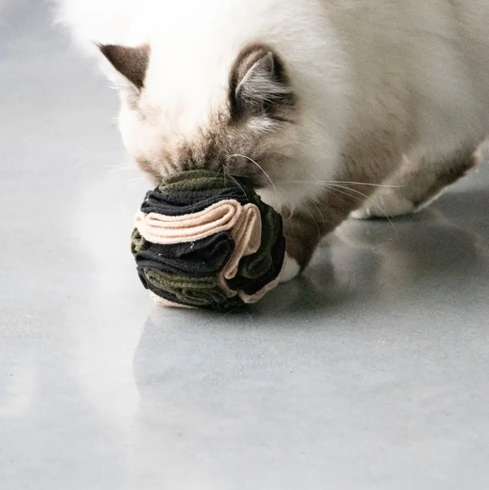 Jouet pour chat coloris multicolore Balle à friandises D&D Home Simon