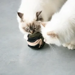 Jouet pour chat coloris multicolore Balle à friandises D&D Home Simon