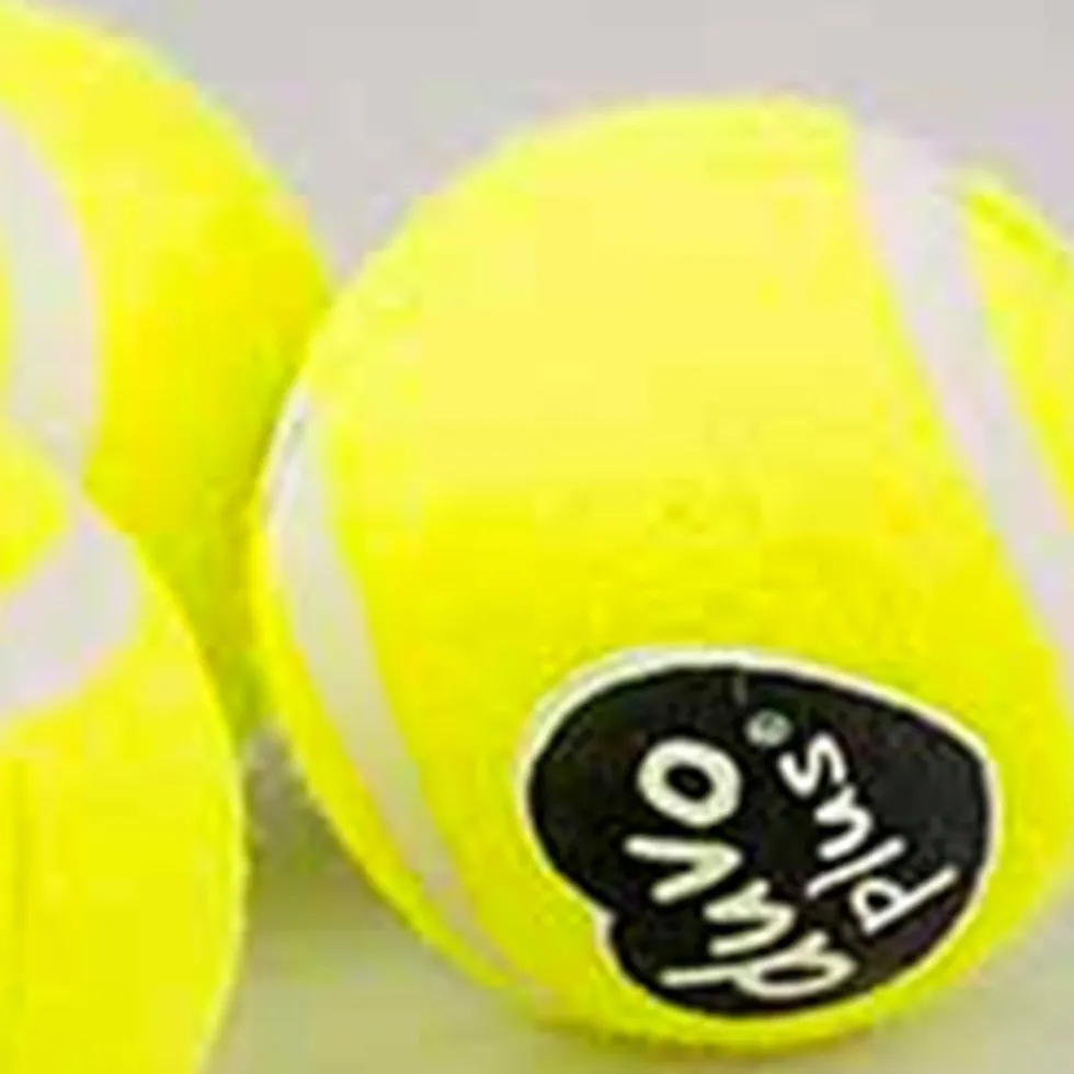 Jouet pour chien coloris jaune balle de tennis Duvoplus - Ø 13 cm