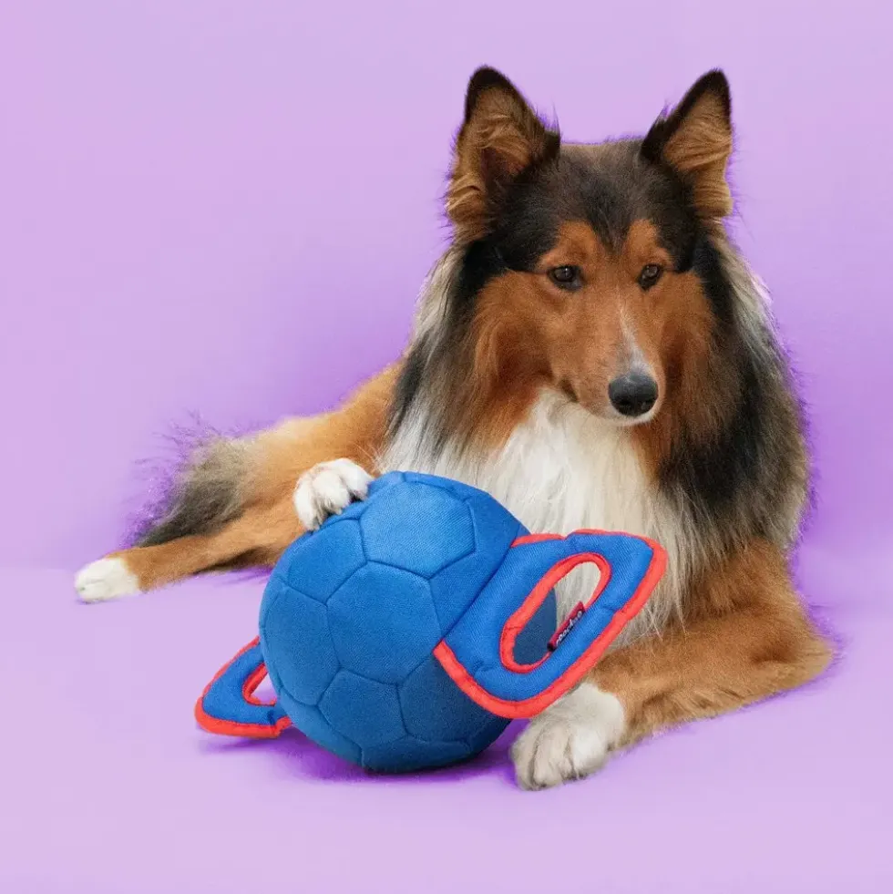 Jouet pour chien coloris multicolore à tirer Coockoo Power Pully - Taille M 35 x 17 x 17 cm