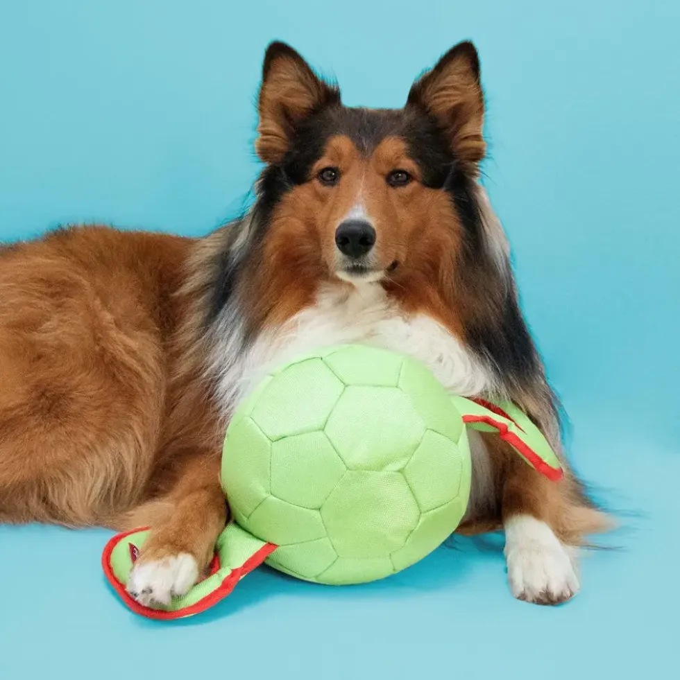 Jouet pour chien coloris multicolore à tirer Coockoo Power Pully - Taille M 35 x 17 x 17 cm