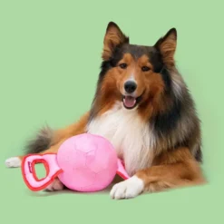 Jouet pour chien coloris multicolore à tirer Coockoo Power Pully - Taille M 35 x 17 x 17 cm