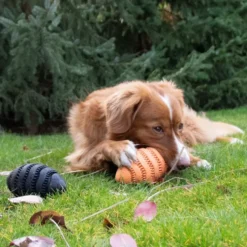 Jouet pour chien en caoutchouc coloris noir distributeur de friandises rugby Bite Me Nibble - Taille L 15 x 8,6 x 8,6 cm