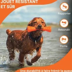 Jouet pour chien en caoutchouc coloris orange bâton Bionic Urban Stick - Taille S