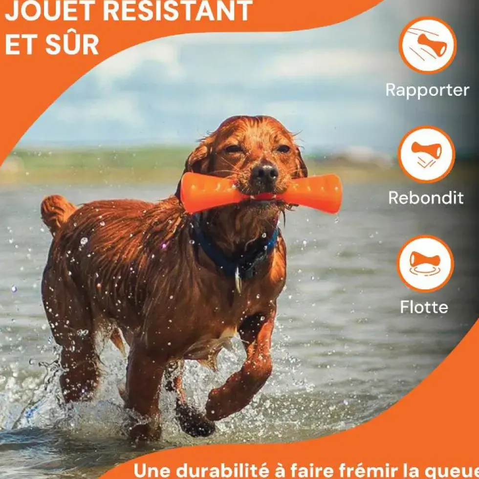 Jouet pour chien en caoutchouc coloris orange bâton Bionic Urban Stick - Taille S