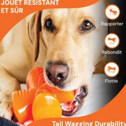 Jouet pour chien en caoutchouc coloris orange croix Bionic Stuffer