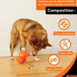 Jouet pour chien en caoutchouc coloris orange croix Bionic Stuffer
