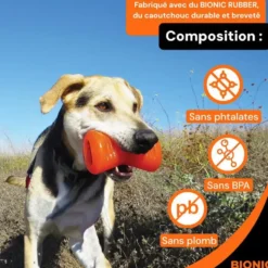 Jouet pour chien en caoutchouc coloris orange os Bionic - Taille M