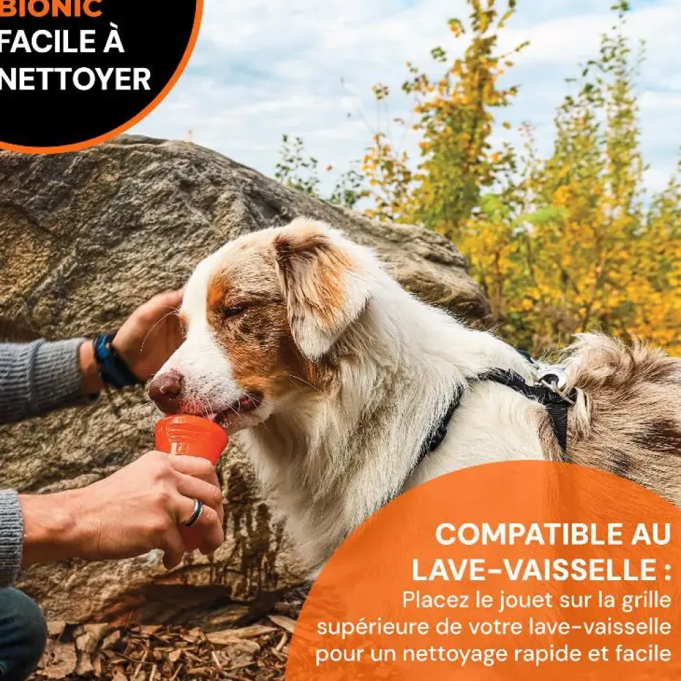 Jouet pour chien en caoutchouc coloris orange os Bionic - Taille M