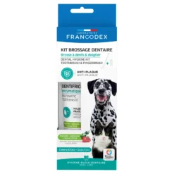 Kit de brossage des dents pour chiens