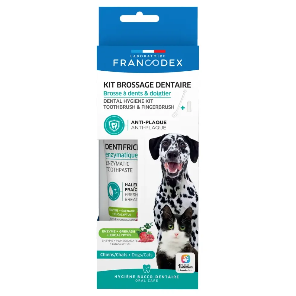Kit de brossage des dents pour chiens