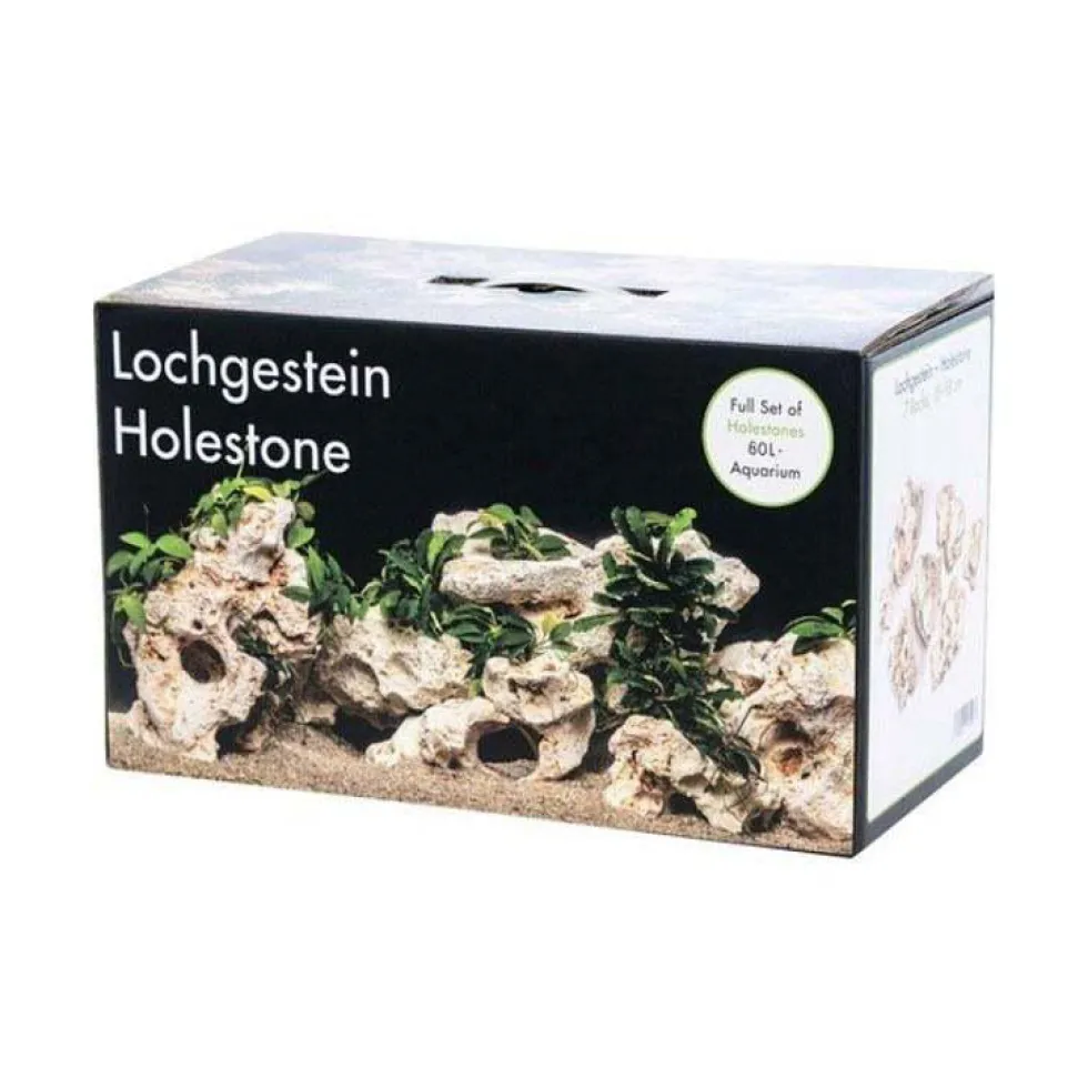 Kit de décoration Mutli-Holestone pour un aquarium de 60 L