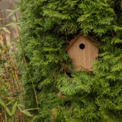 Kit nichoir en bois botanic® (à monter)