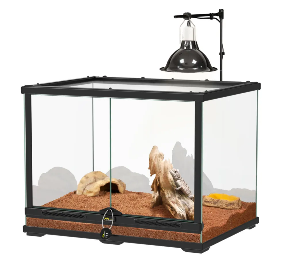 Kit pour pogona juvénile coloris noir Terratlantis - 60 x 45 x 45 cm