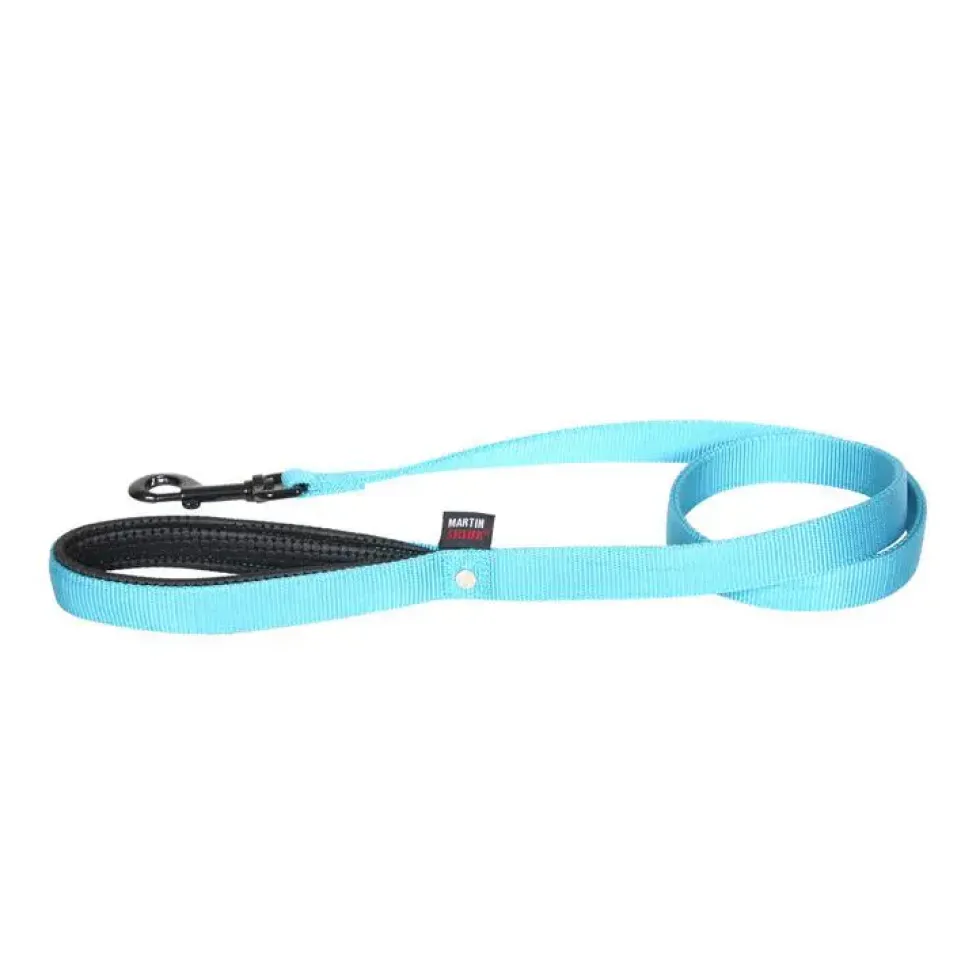 Laisse double épaisseur pour chien turquoise 2,5x120cm