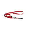 Laisse dressage 3pt rouge