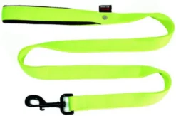 Laisse pour chien en nylon double épaisseur uni coloris vert confort Martin Sellier - Taille L 25/120