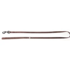 Laisse réfléchissante pour chat Flash marron - 100 cm