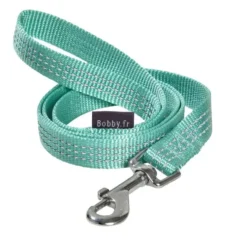 Laisse Safe 16 mm lagon
