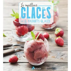 Le meilleur des glaces et yaourts glacés aux éditions Artemis