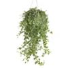 Lierre - La suspension de 19 cm