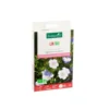 Lin bio botanic® - graines à semer (3 m²)