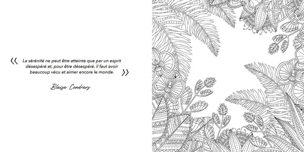 Livre de coloriage "Sérénité" aux Éditions Artemis