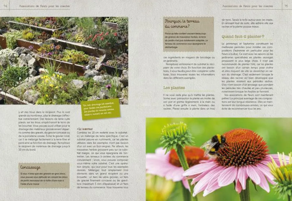 Livre "Hôtels à insectes" aux Éditions Artemis