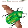 Livre "Petites bêtes des jardins" aux Éditions Milan collection Carnets de nature