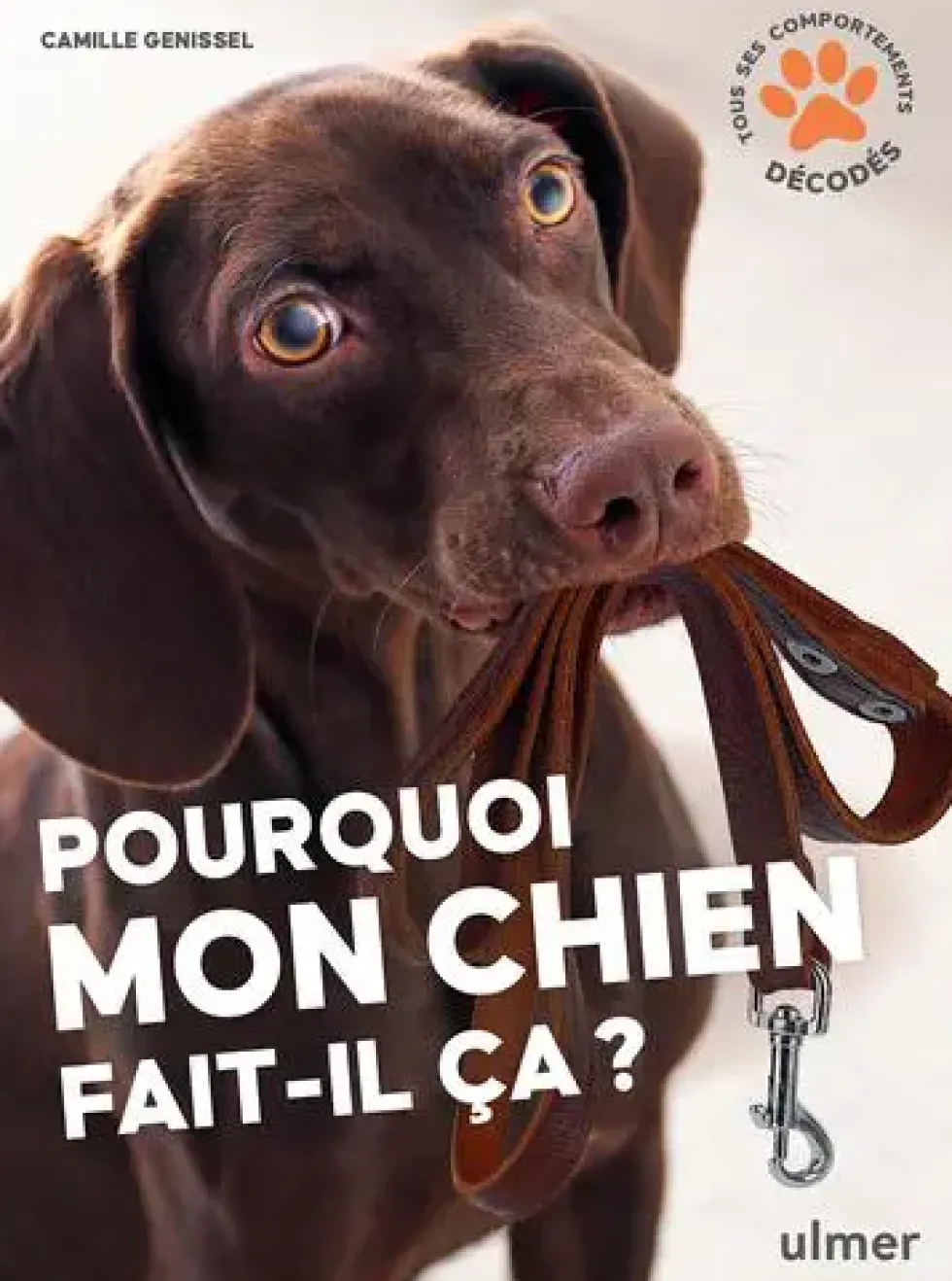 Livre Pourquoi mon chien fait-il ça ? Aux Éditions Ulmer - 96 pages