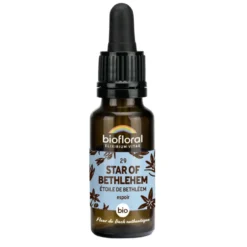 Élixir n°29 Biofloral d’étoile de Bethléem en flacon de 20 ml