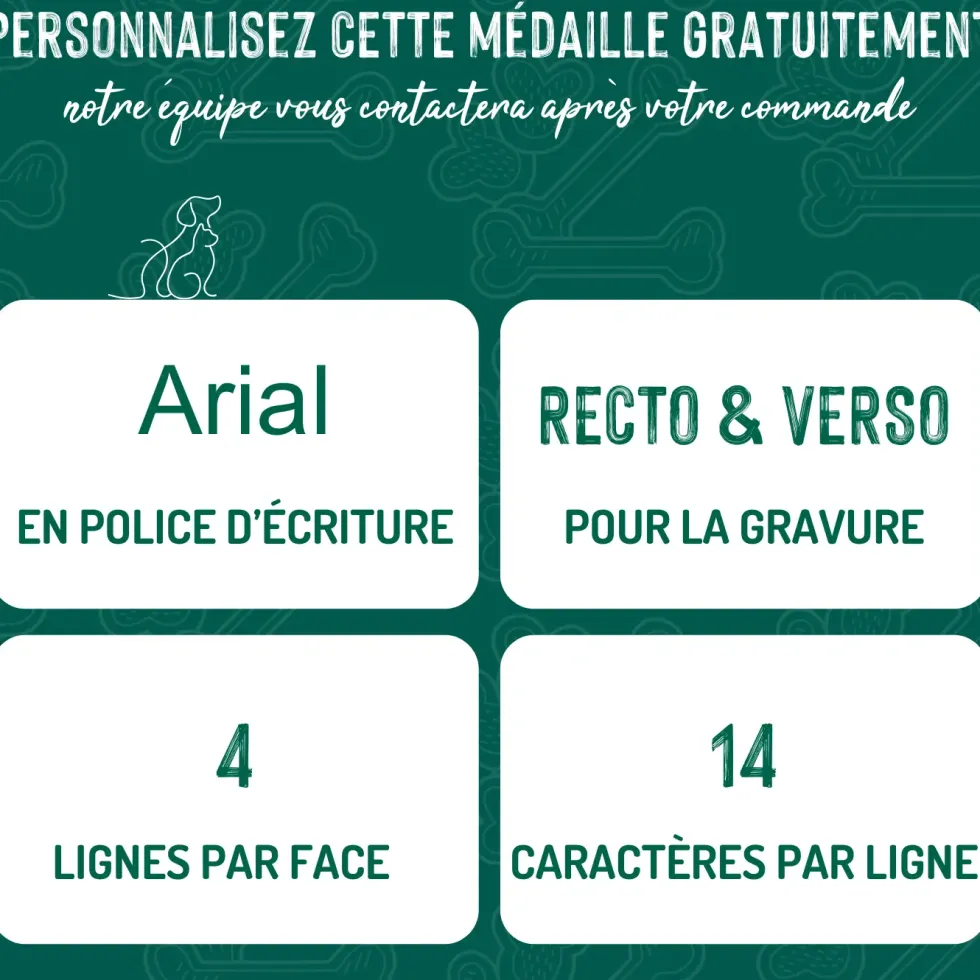 Médaille basic grand cercle pour chien en laiton argenté