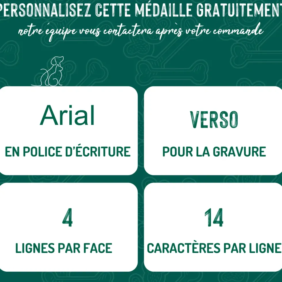 Médaille bronx grand os pour chien décoration pyramides en métal