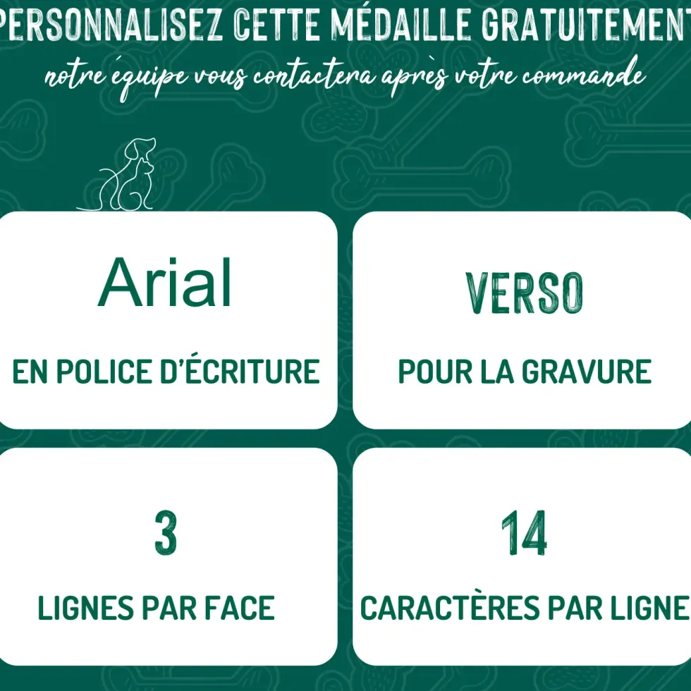 Médaille colors pour amstaff en métal