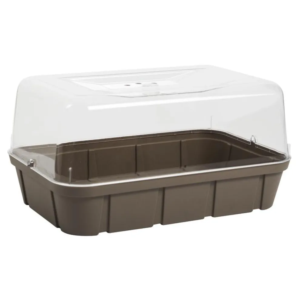 Mini serre taille L couleur taupe Eda - 56 x 38 x 25 cm