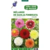 Mélange dahlia Fimbratia botanic® - 5 bulbes
