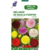 Mélange dahlia Pompom botanic® - 5 bulbes