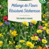 Mélange de fleurs 25 m² terrain sec coloris multicolore Vilmorin jardin - 10 x 2,7 x 17,2 cm