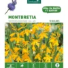 Montbretia Davidson orange botanic® - 10 bulbes