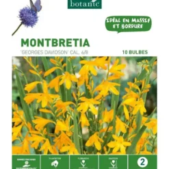 Montbretia Davidson orange botanic® - 10 bulbes