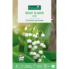 Muguet de jardin blanc botanic® - 10 griffes