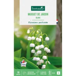 Muguet de jardin blanc botanic® - 10 griffes