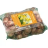 Narcisse botanique en filet botanic® - 50 bulbes