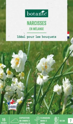 Narcisse en mélange botanic® - 15 bulbes