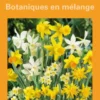 Narcisse en mélange botanic® - 8 bulbes