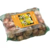 Narcisse en mélange filet grande couronne botanic® - 25 bulbes
