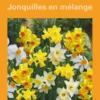 Narcisse jonquille en mélange botanic® - 8 bulbes